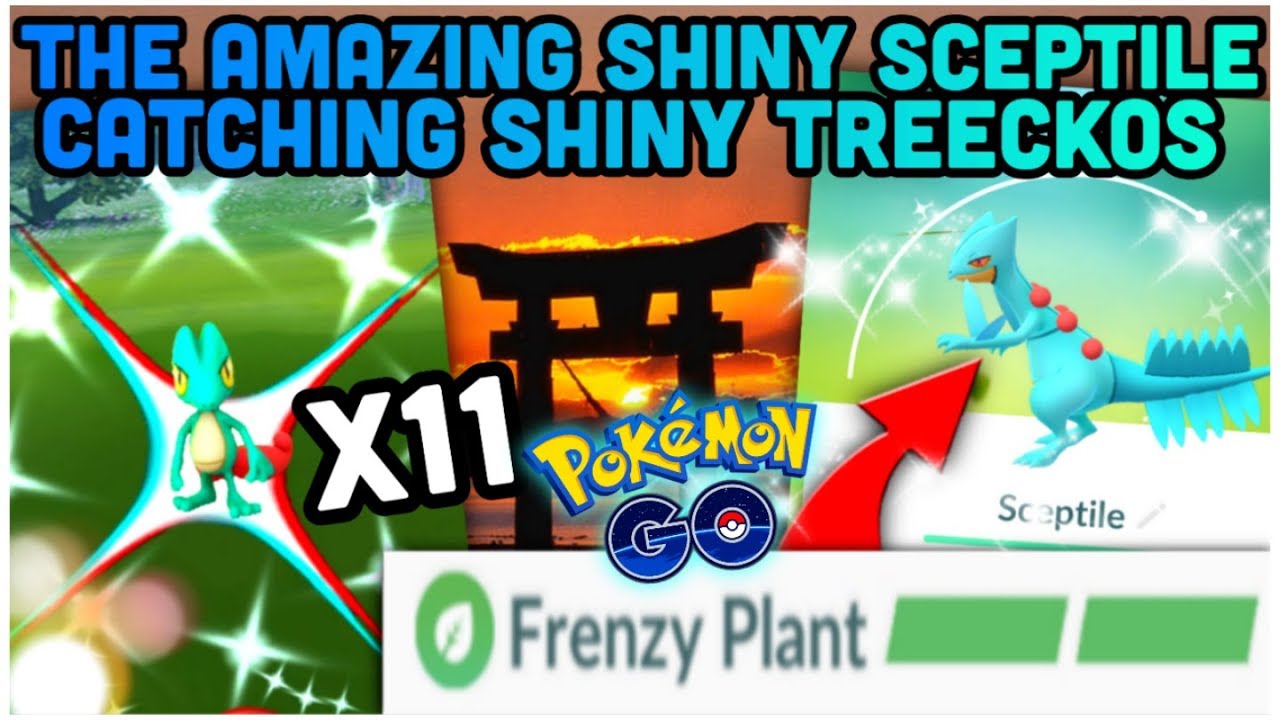CATCHING 11 SHINY TREECKOS & EVOLVING THEM IN POKEMON GO | MAXING OUT FRENZY PLANT SCEPTILE
