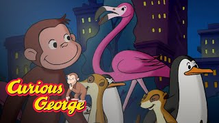 George's Animal Friends! 🐵Curious George 🐵Compilation 🐵Kids Movies 🐵Videos for Kids