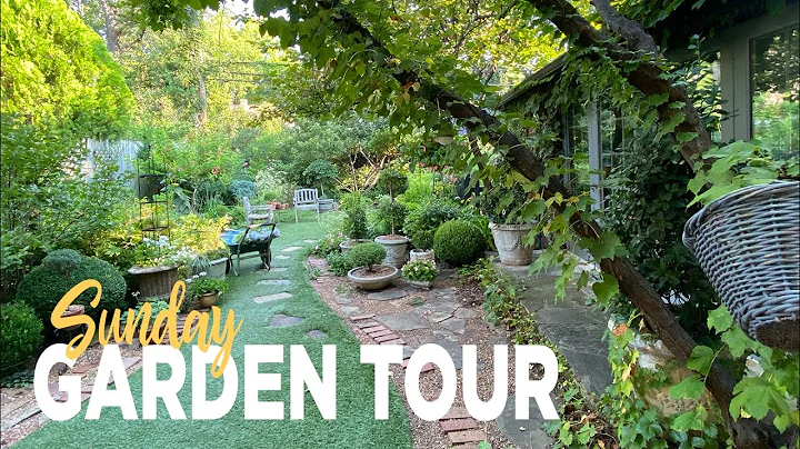 Garden Tour: a Sunday Walkabout