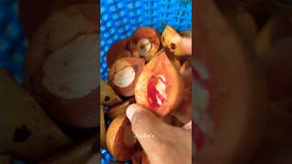 Nutmeg|spice |nutmeg seed  shorts foryou trending ytshorts viral food