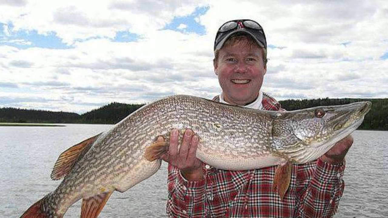 Grizzly Creek Lodge Collage 1080p