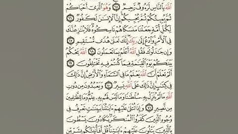 ماهر المعيقلي سورة الحج مكتوبة صفحة 340 مصحف المدينة المنورة جودة عالية