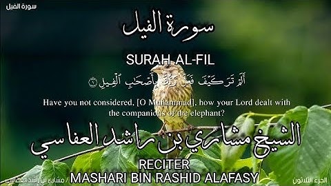 سورة الفيل بصوة الشيخ مشاري بن راشد العفاسي،رواية حفص عن عاصم/surah Al-fil.mshari bin rashid alafasy