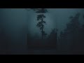 Novo Amor & Ed Tullett - Ontario (instrumental and slowed)