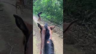 SALTANDO OBSTÁCULOS! 😱 *pela primeira vez*