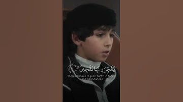 تلاوة خاشعه للطفل الصغير محمد صدقي