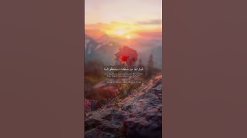الشيخ عبدالله الزلفاوي - سورة الأعراف