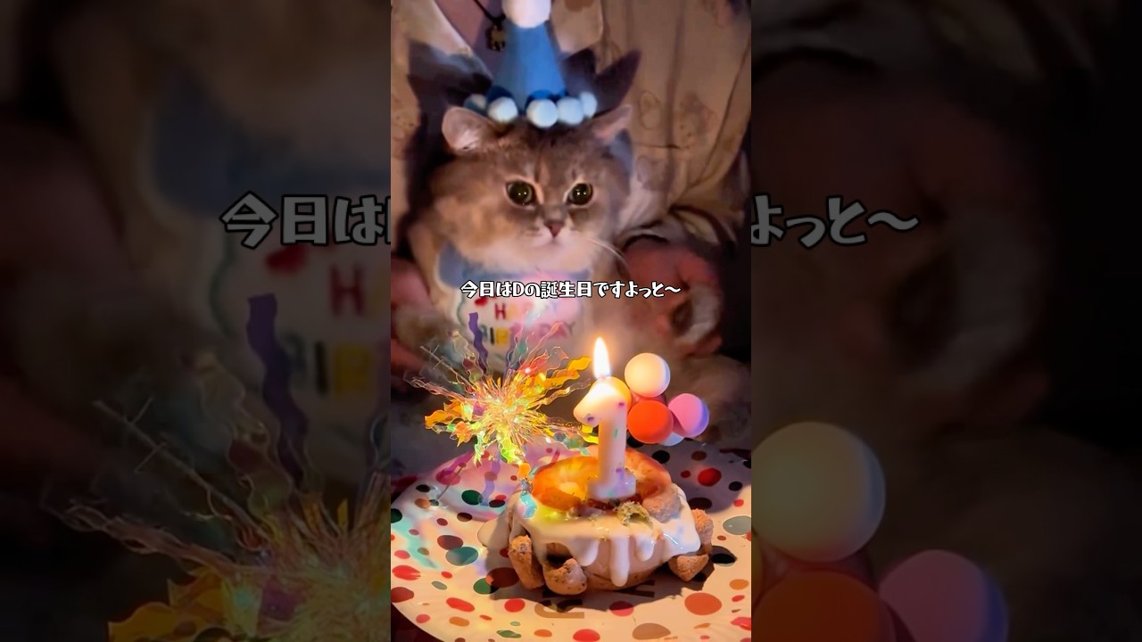 Birthday cat (6/4 is D's real birthday) - YouTube
