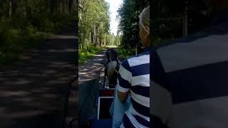 WP 20160713 13 38 40 Pro
