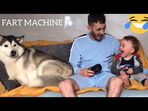 baby-can’t-stop-laughing-while-pranking-husky-dog-with-fart-machine!..