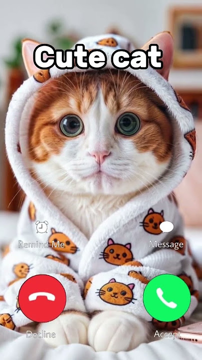 Cute cat #catphones #cat #ringtone #ringtones #funny #cattraining #catcommunication #catlover #cute