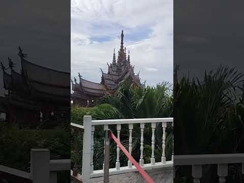 Thesanctuaryoftruth真理寺ปรา เจ้าเต่าที่วัดใหญ่ชัยมงคล