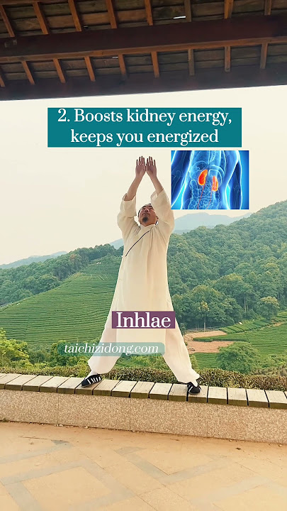Qigong, open up 12 channels