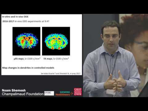 Pre-clinical Double Diffusion Encoding - Noam Shemesh