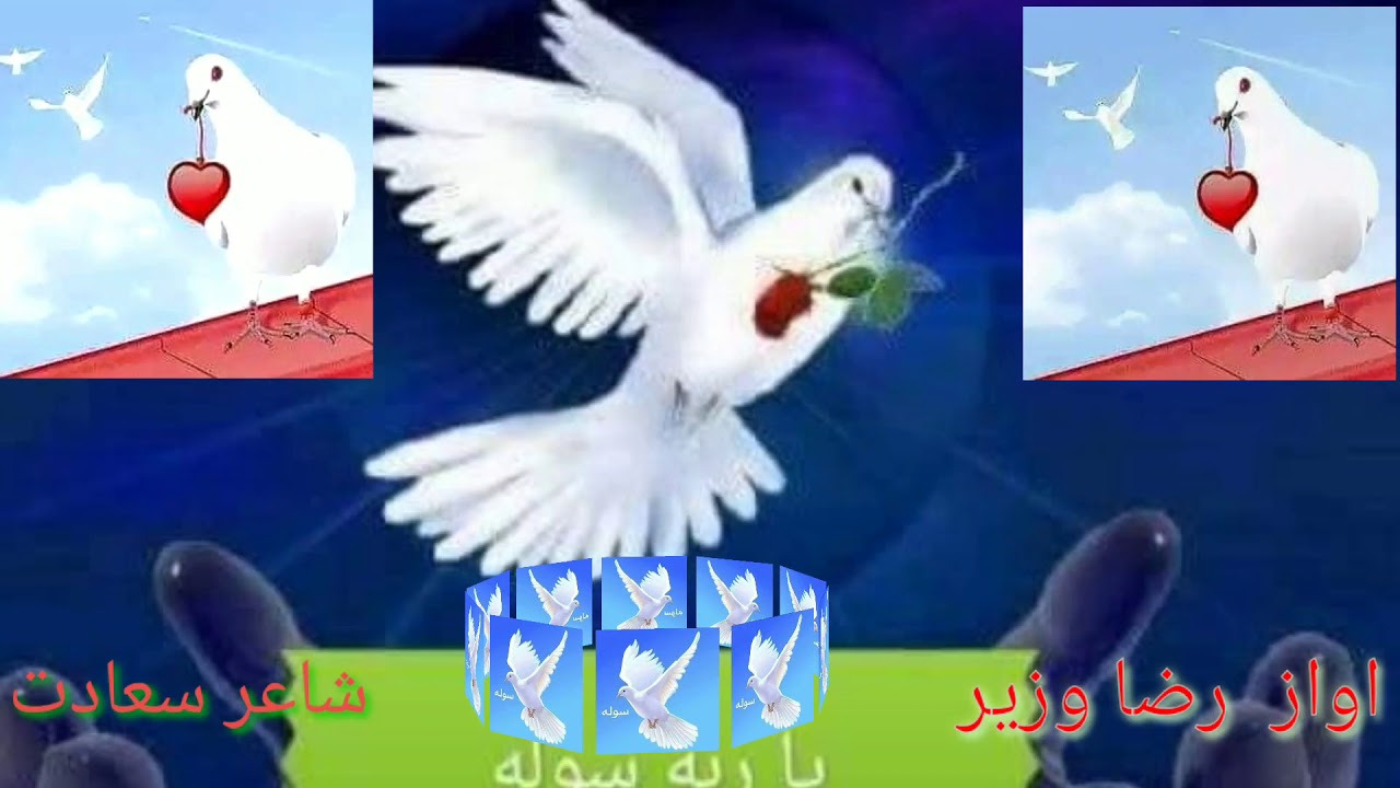 اواز رضا وزیر  شاعر سعادت مسافر