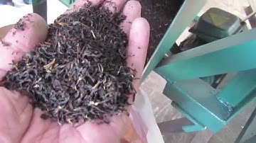 Stalk Sorting Machine