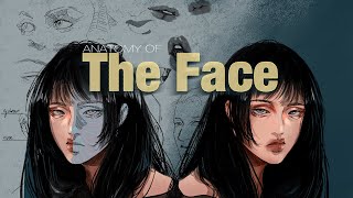 How To Draw A Face | Facial Anatomy