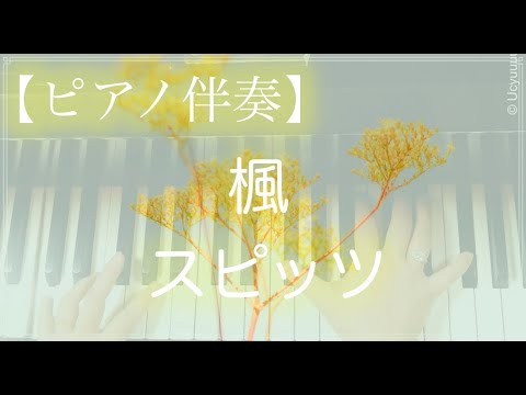楓　スピッツ　/　ピアノ伴奏