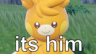 pokemon picnic but its the pawmi evolution line pokemon picnic but its the pawmi evolution line