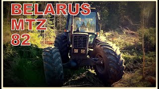 Tractor MTZ Belarus 82 Forvarder + Farma 6030 EXT /Трактор МТЗ Беларус 82 Форвардер / DJI Mini