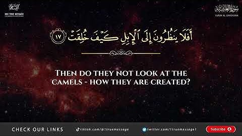 Surah Al-Ghashiyah (The Overwhelming) - Othman Kamel -Arabic and English translation HD سورة الغاشية