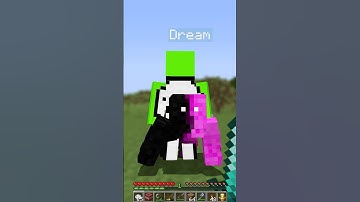 Manhunt Speedrunner VS Daquavis in Minecraft!