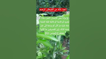 #قرآن_كريم #من سورة يونس الآية 12