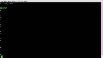 Update on Dividing Line tput - BASH - Linux