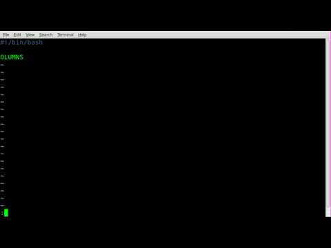 Update on Dividing Line tput - BASH - Linux
