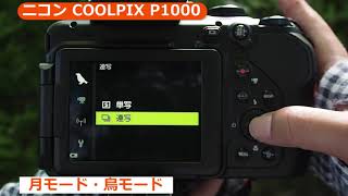 ニコン COOLPIX P1000（カメラのキタムラ動画_Nikon）