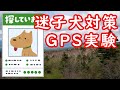 【検証】迷子犬対策にどこまで使える？どこかなGPS #イングリッシュポインター