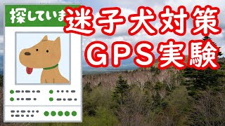 【検証】迷子犬対策にどこまで使える？どこかなGPS #イングリッシュポインター