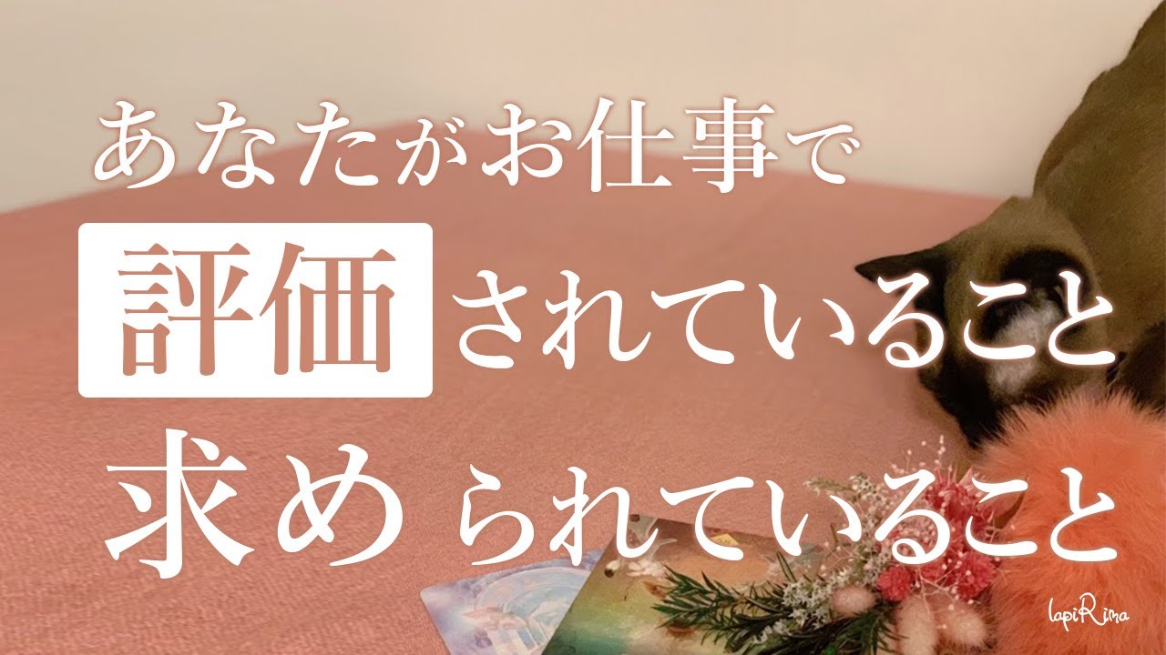 お仕事で評価されていること 求められていること タロット占いで占う仕事の今後や人間関係 上司や同僚からの評価 Youtube
