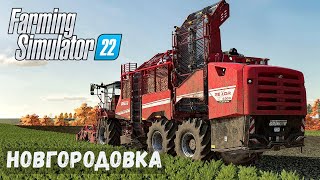 FS22 - НОВГОРОДОВКА.  Уборка СВЕКЛЫ # 38