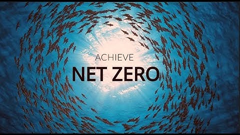 Achieve Net Zero with InvoiceNxt