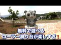 つるビーパークを紹介