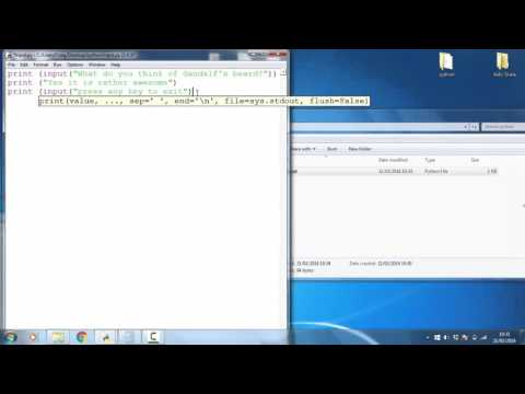 Python input function 2