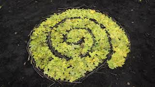 Nature Art inspired by Andy Goldsworthy