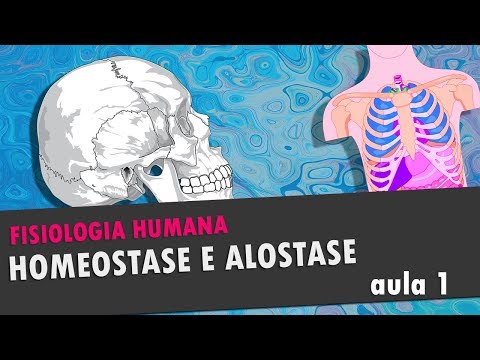 Vídeo: Diferença Entre Alostase E Homeostase