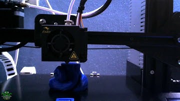 BlinkFox 3D print Ender 3 Timelapse