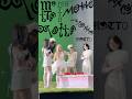 𝑊ℎ𝑎𝑡 𝑖𝑠 𝑦𝑜𝑢𝑟 𝑀𝑜𝑡𝑡𝑜? | BEHIND📽️ #ITZY #MIDZY #ITZYComeback #ITZY_Motto #Shorts