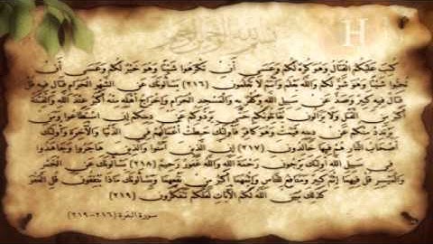 سورة البقرة آية (216-219) مع عدة قراء. .H.N Design