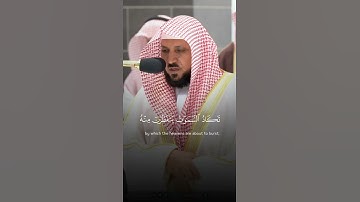 ترتيل خاشع من اواخر سورة مريم 🥺❤️‍🩹🤍فضيلة الشيخ ماهر المعيقلي