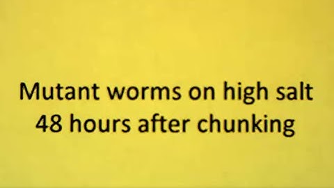 Mutant C. elegans on high salt plates, 48-hour observation