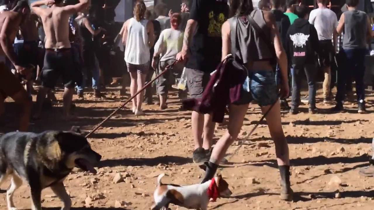 TEKNIVAL Wav 2016 , les 20 ans du TekSuD !!!! (12/08/2016-15/08/2016 a Larzac )