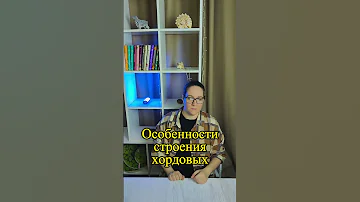 Ты похож на ланцетника! Что общего у человека и примитивных хордовых? shorts шортс