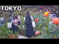 [4k] Tokyo - A garden in Komagome that blends Japan and the West (Nov. 2022)