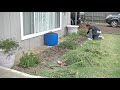 Satisfying yard cleanup, time lapse!