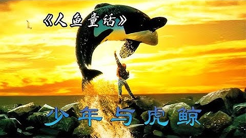 海洋馆新来的虎鲸谁都无法接近，却唯独宠爱一个失去母亲的少年