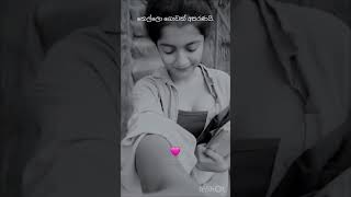 එකනම් ඇත්ත 🥵🥵#reels #trendingshorts #tiktok #tiktokviral #vairalvideo #srilanka #mathara #colombo 🥵🥵